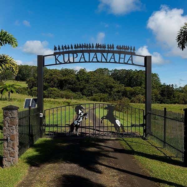 Kupaianaha.jpg