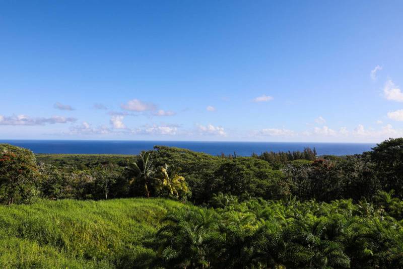 green hills and ocean in hana east maui