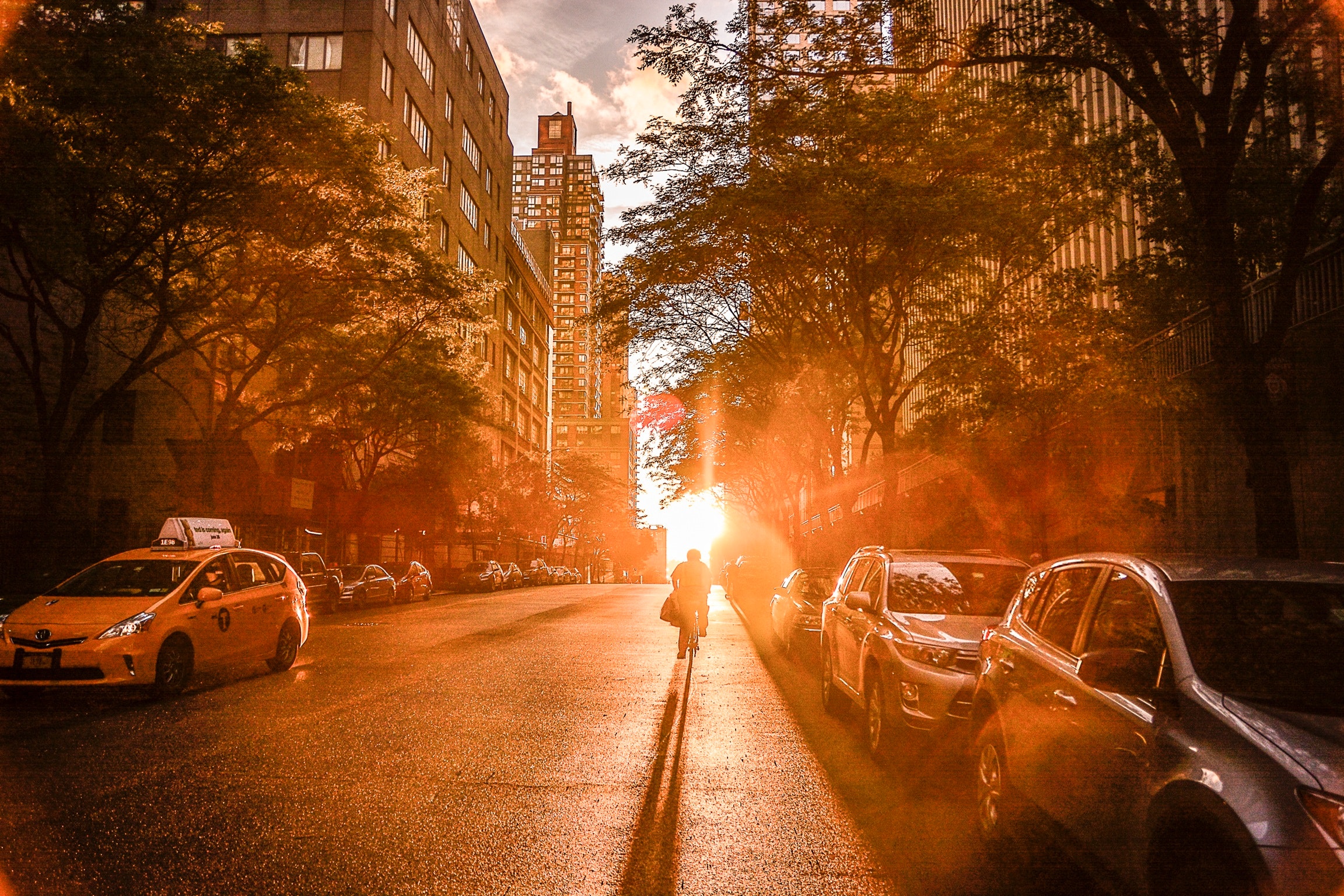 sunlight streams behind a new york street