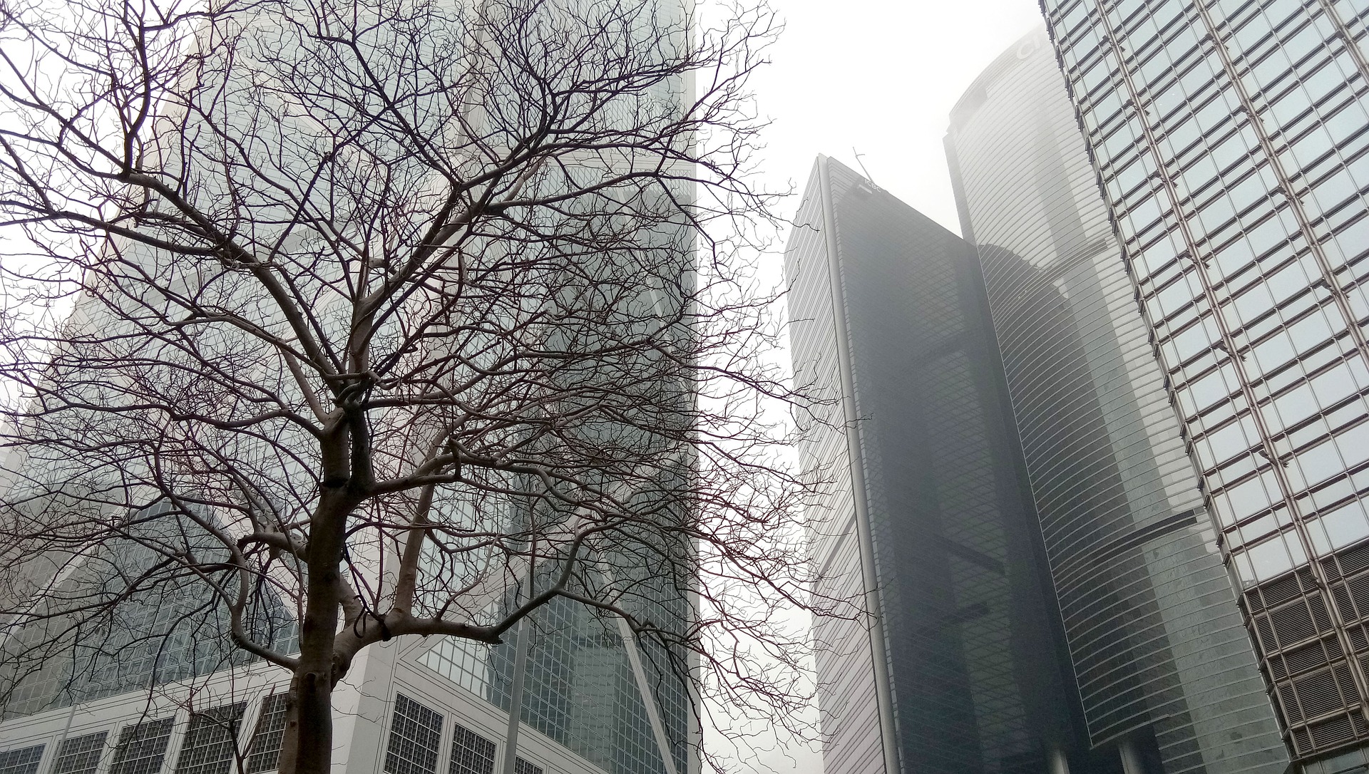 subdued glass skyscrapers on a foggy day in hong kong