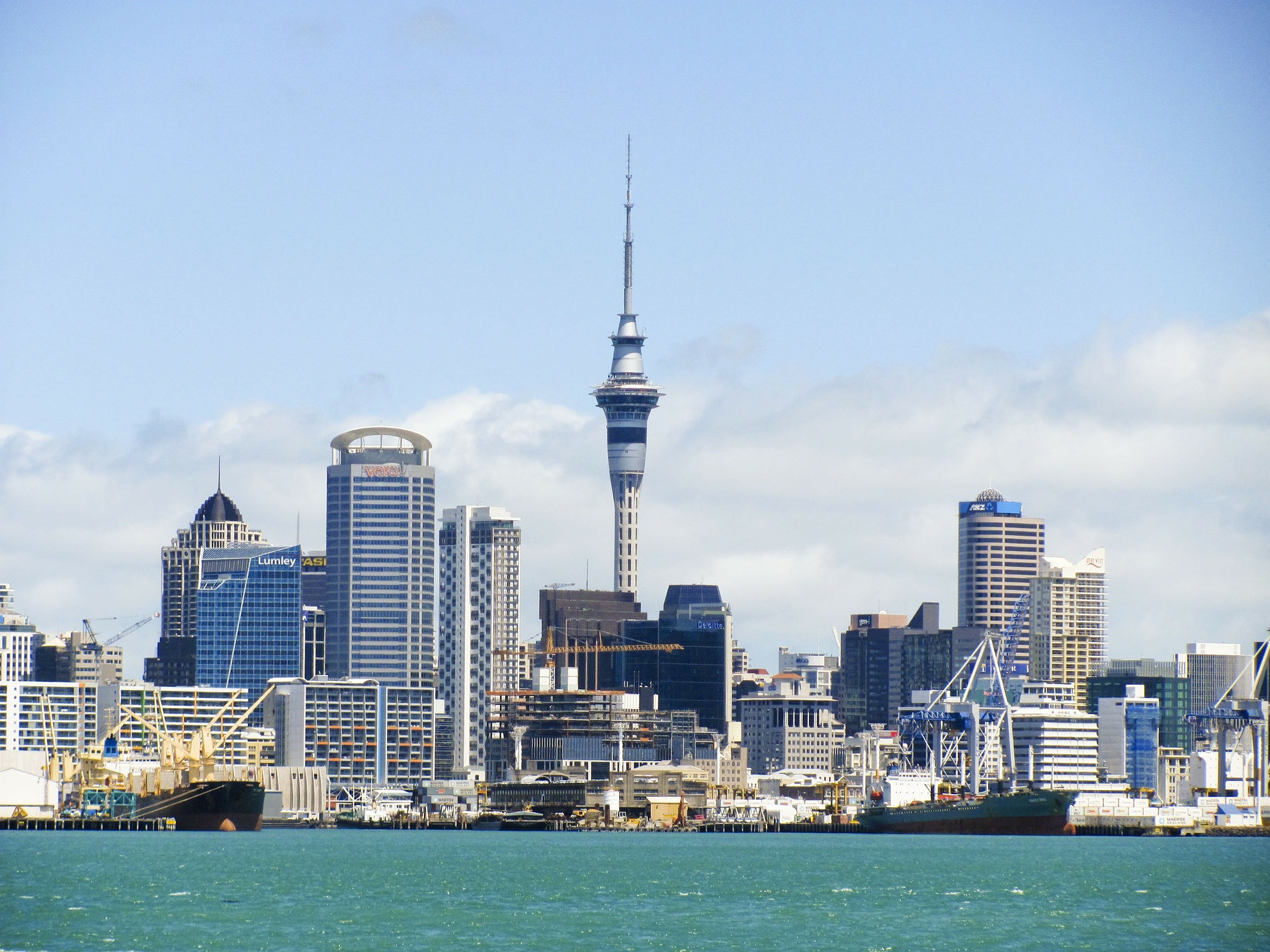 new zealand skyline with waterfront in the forefront