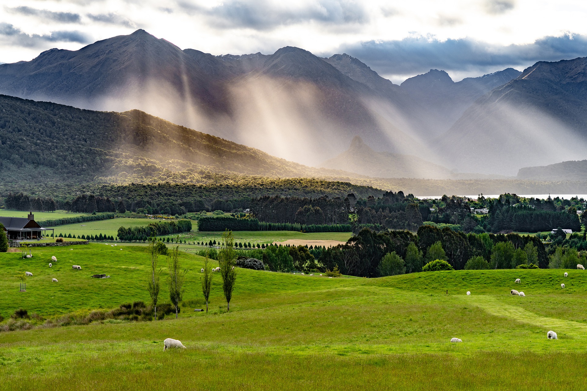 new zealand pastures with mountains and streaming light in background