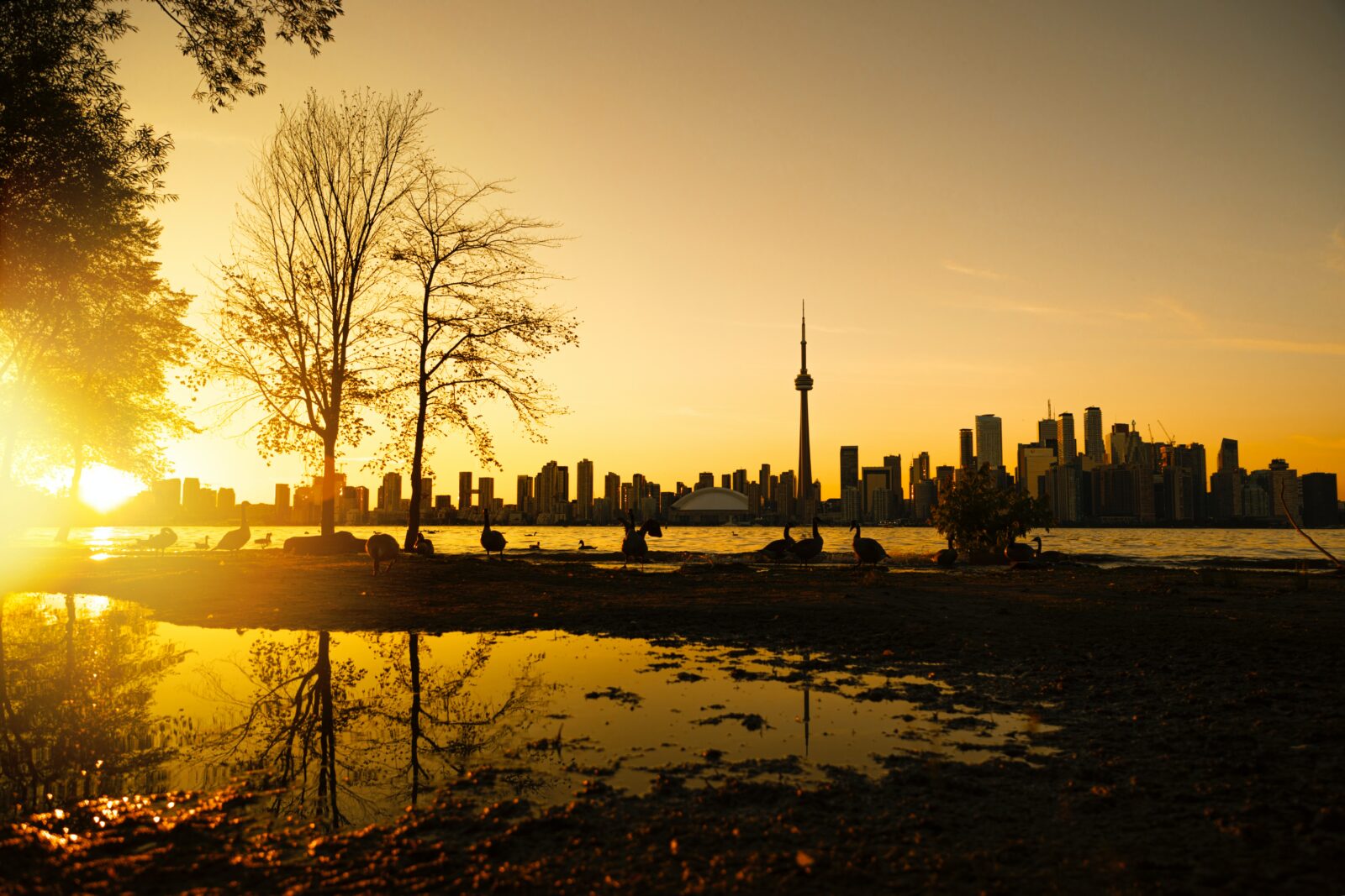 toronto skyline viewed at sunset