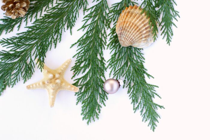 holiday tree seashells ornaments