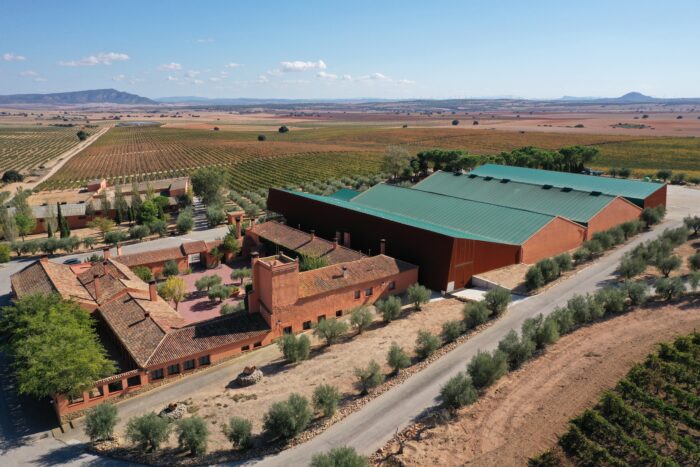 Cava winery with vines in DO La Mancha