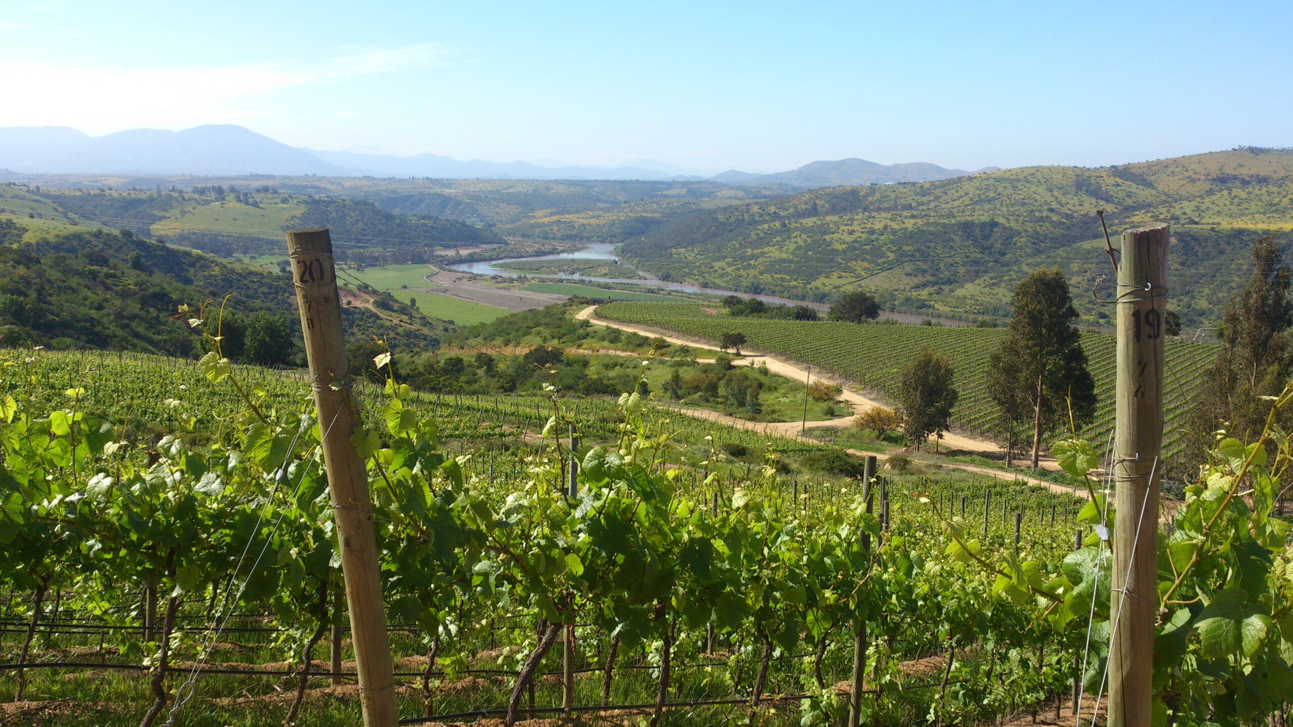 winery in san antonio chile