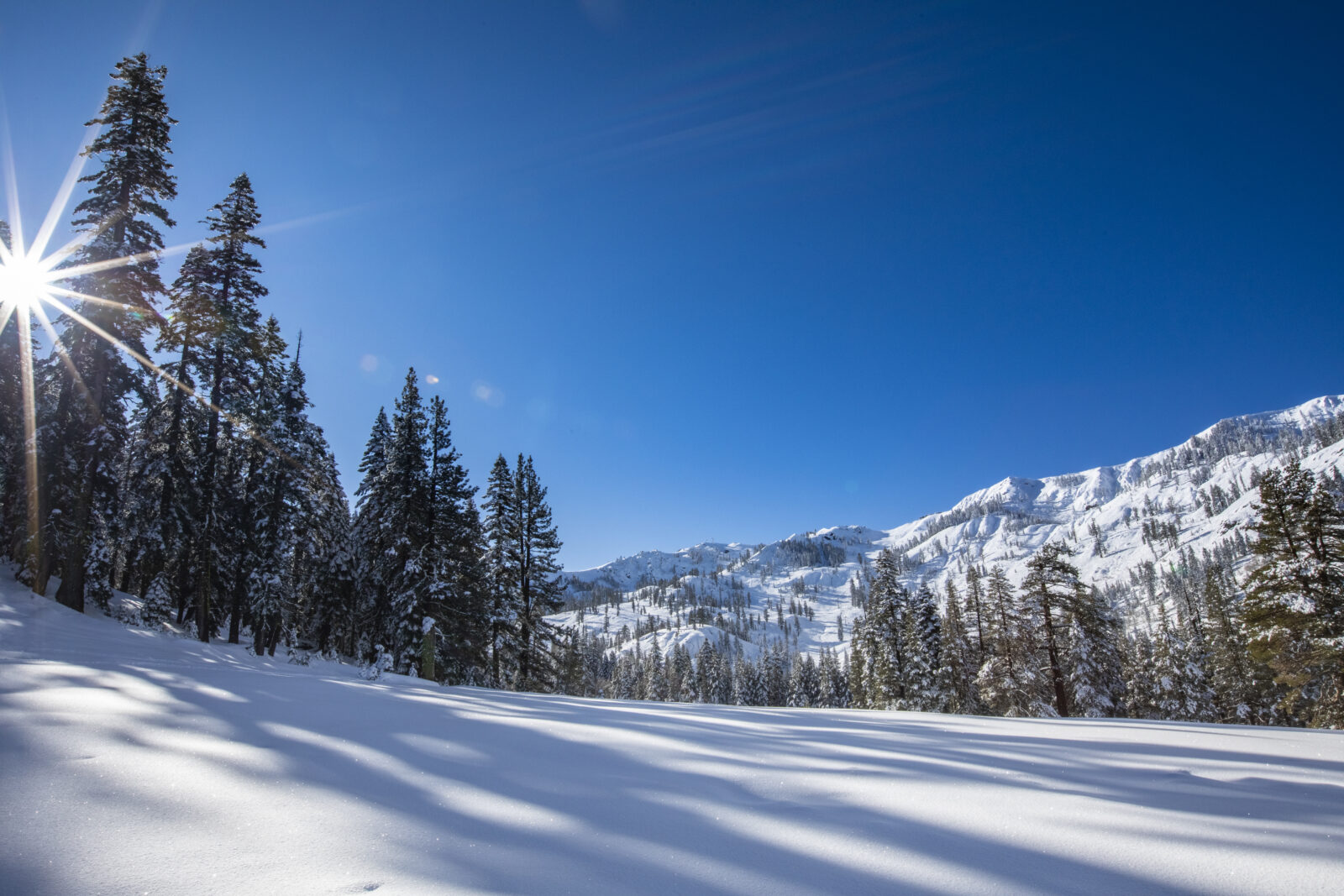 Mountain with snow view