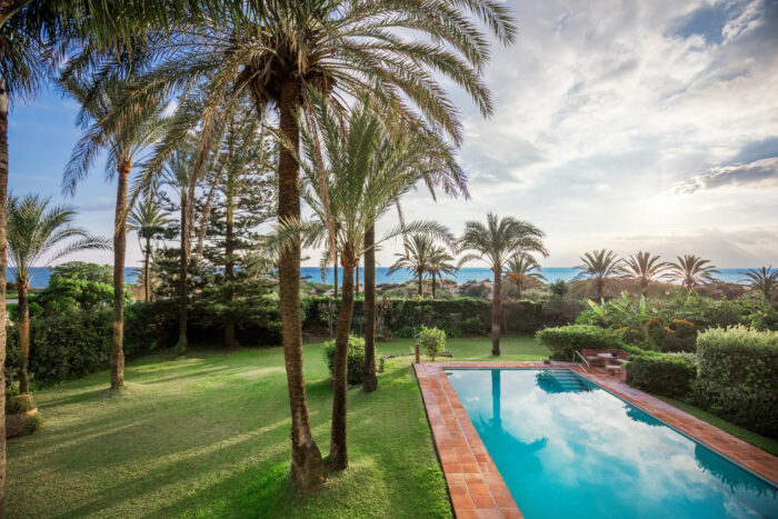 palm trees above a swimming pool in spain