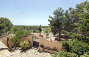 A vineyard estate in Spain