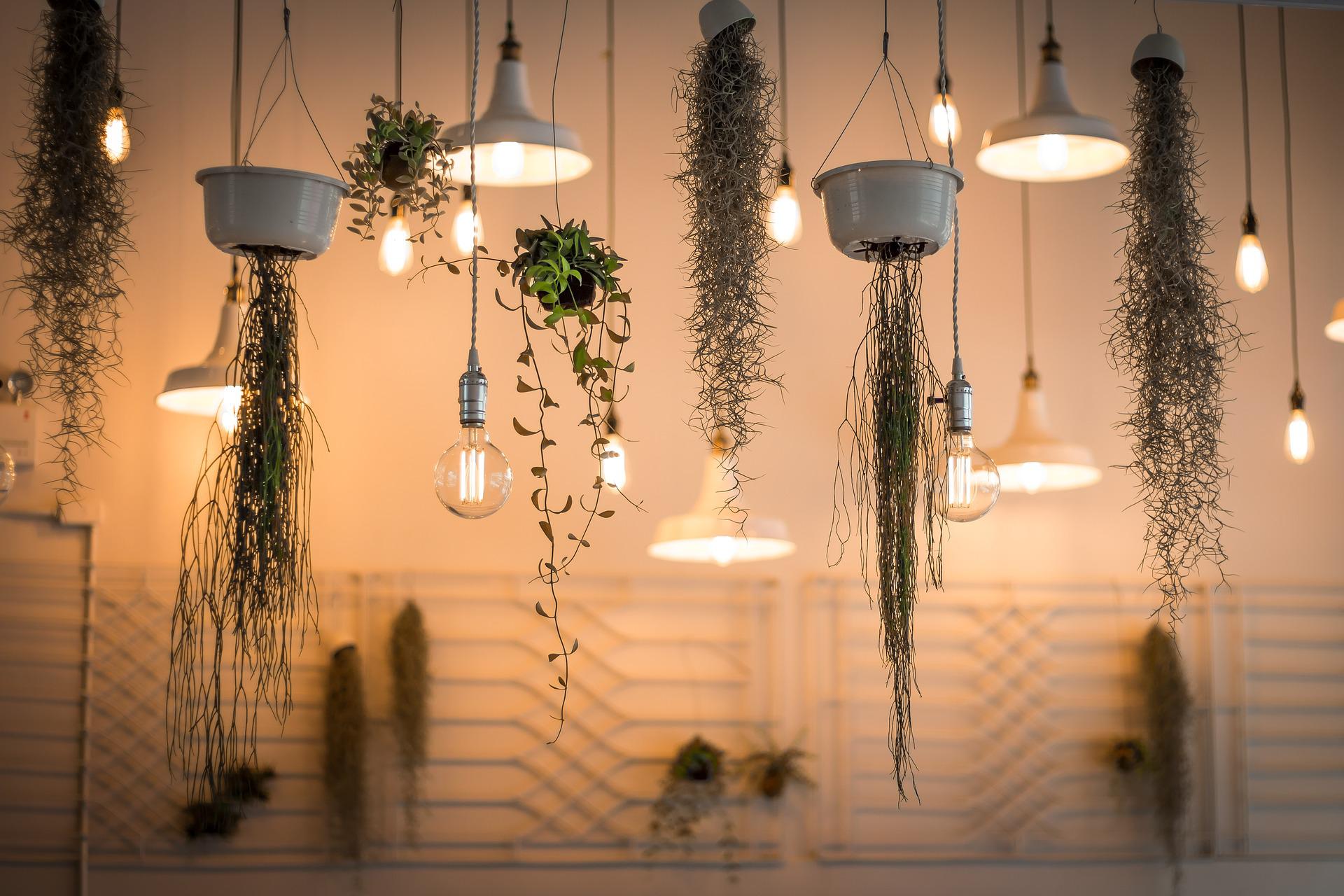 hanging planters and lights