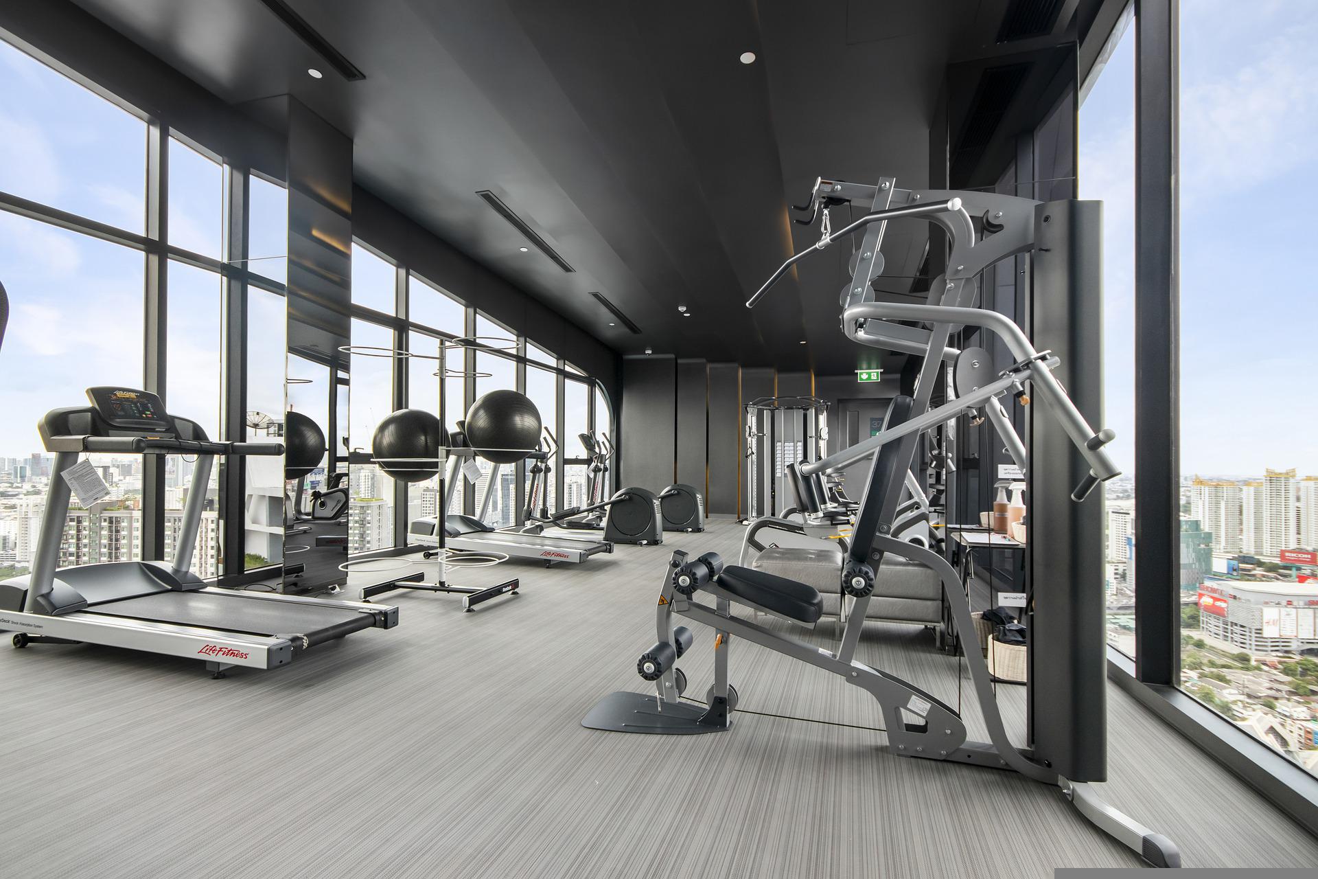 Gym Fitness Equipment