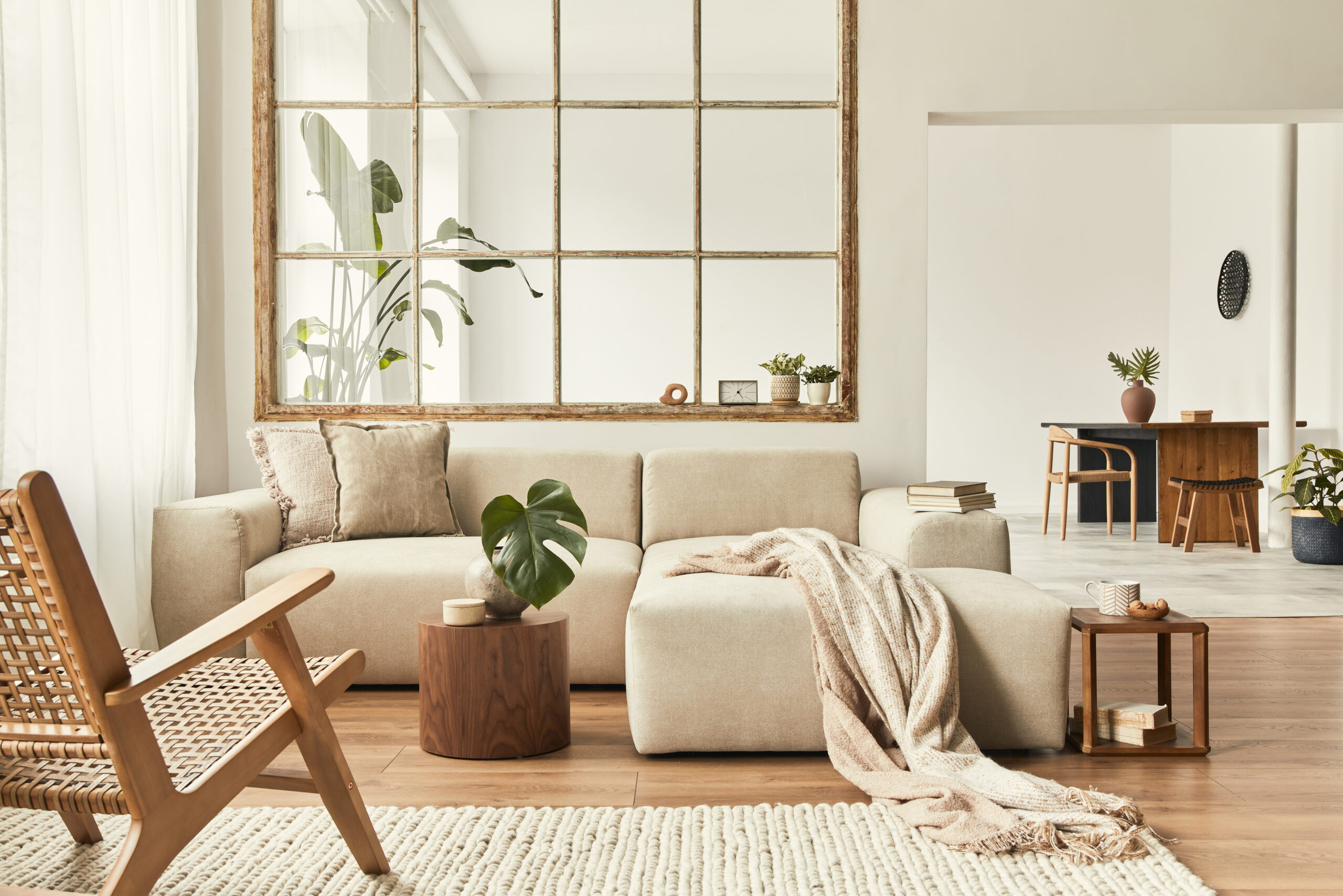 Cozy Living Room With Natural Elements And House Plants