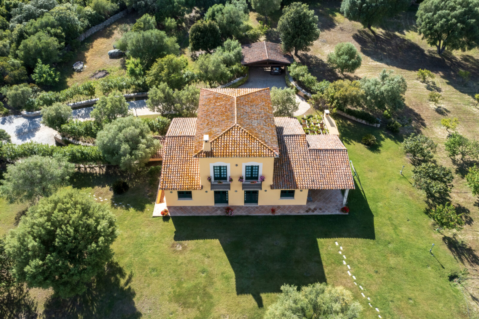 Monte Pino vineyard estate in Sardinia