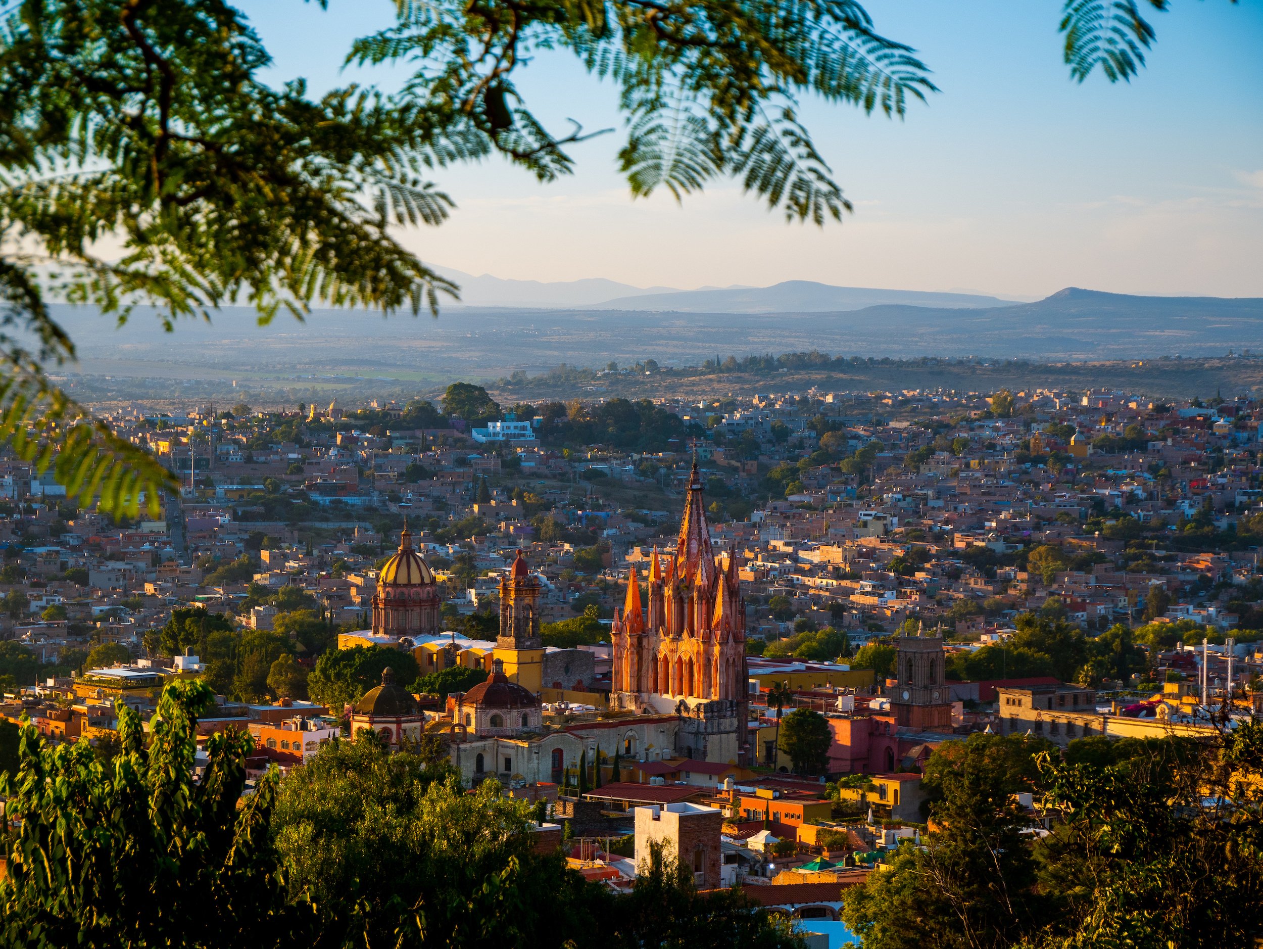 Birds eye view of San Miguel de Allende with leafs above in foreground