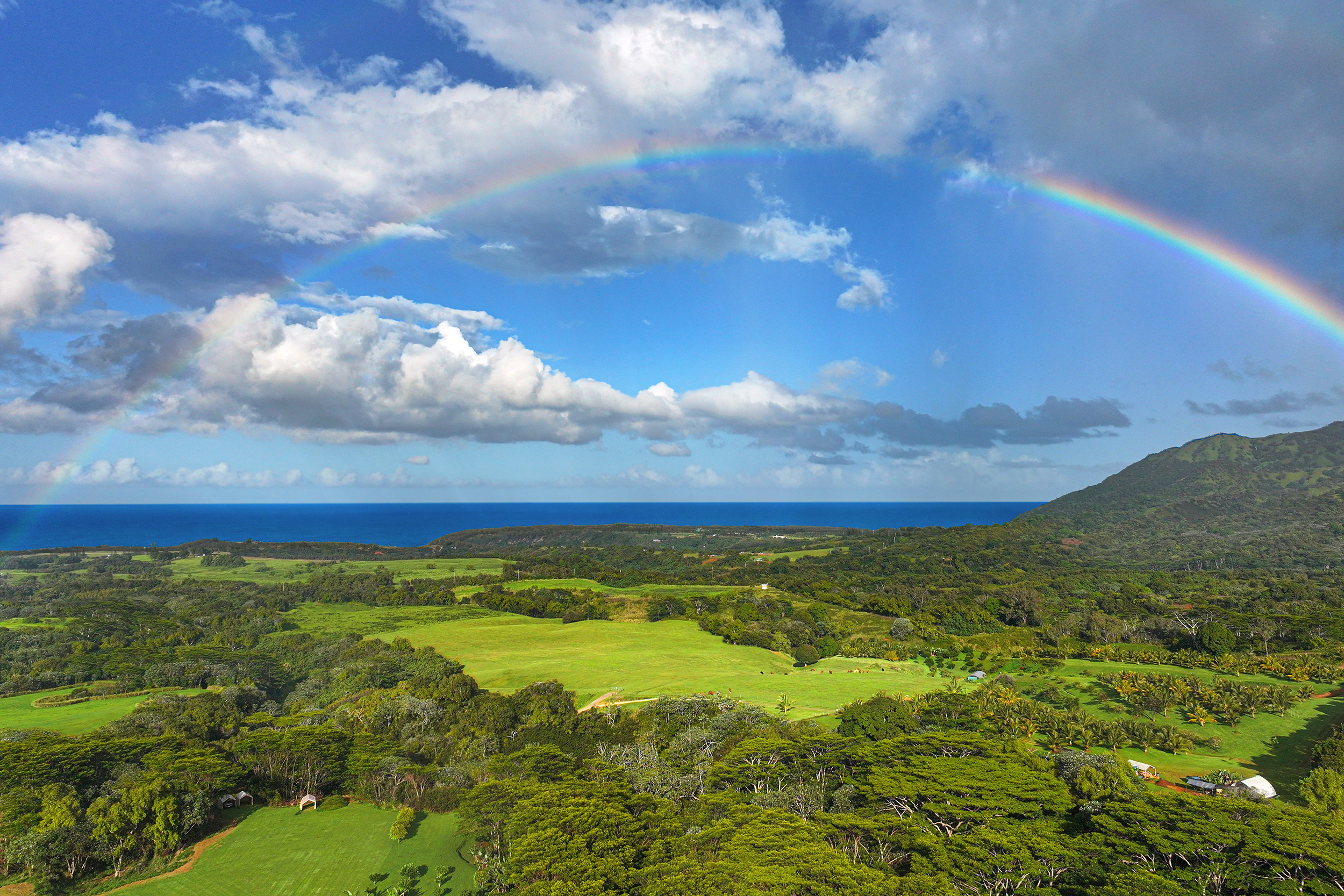 Kapuna Rd Kauai Luxury Home For Sale In KILAUEA Hawaii United kapuna-rd-kauai-luxury-home-for-sale-in-kilauea-hawaii-united
