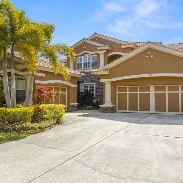 1 - 11610 Bristol Chase Drive Tampa Forbes Mimi and Friends