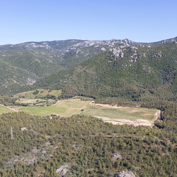 DJI_0085.jpg