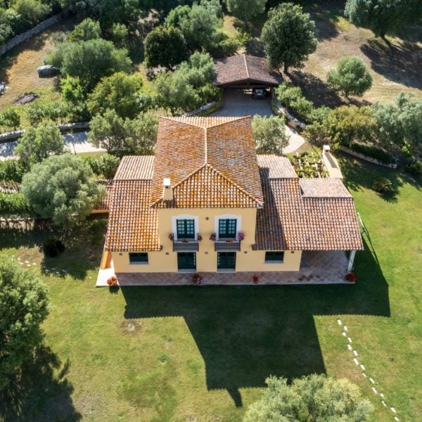 Monte Pino vineyard estate in Sardinia
